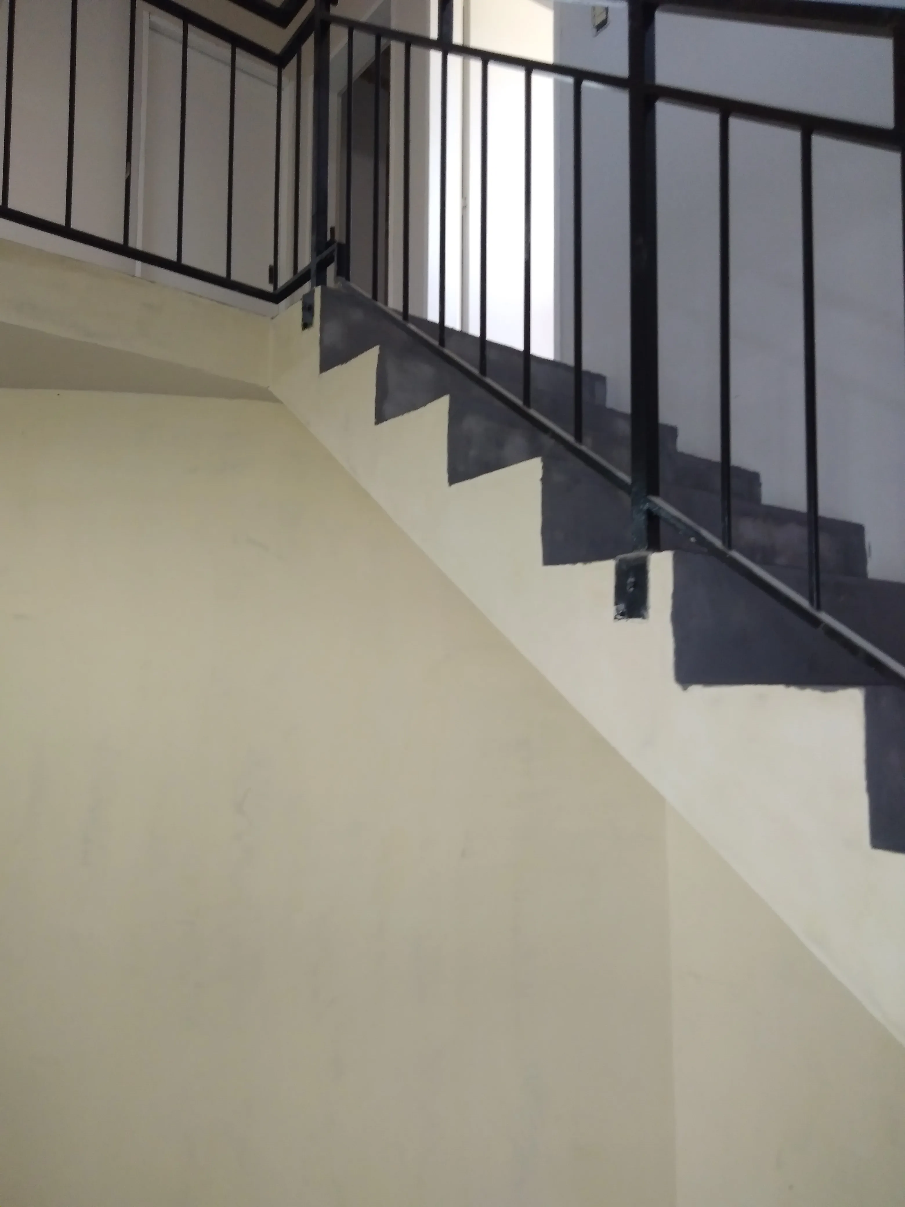 Casa Tigre - Microcemento - Imagen 5